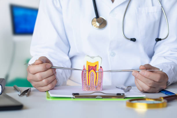 Best Emergency Broken Tooth Repair in Belcourt, ND
